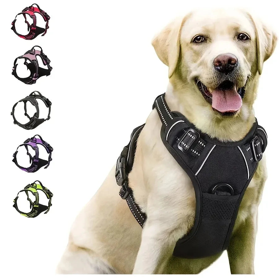 Padded Comfort Harness Set