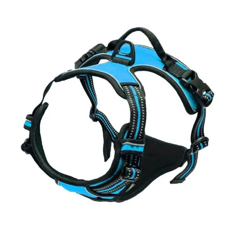 Padded Comfort Harness Set
