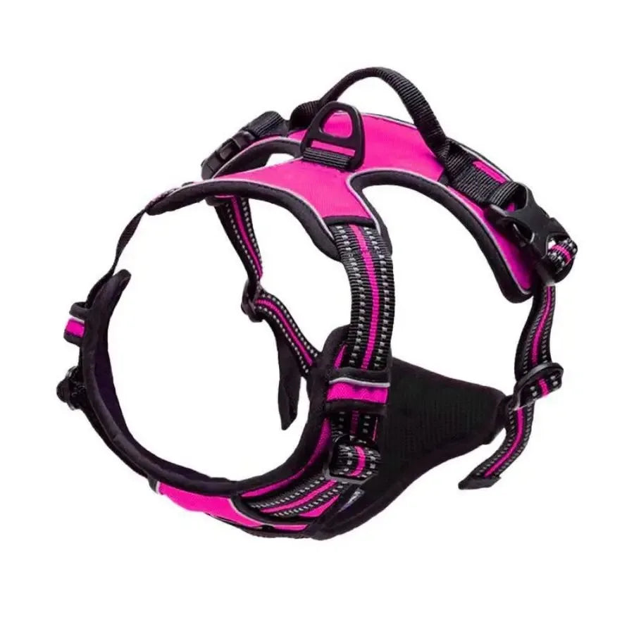 Padded Comfort Harness Set