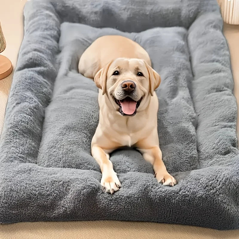 Snuggle Couch Pet Bed