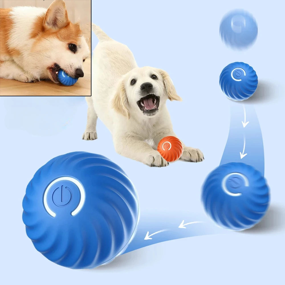 Smart Auto-Rolling Dog Ball