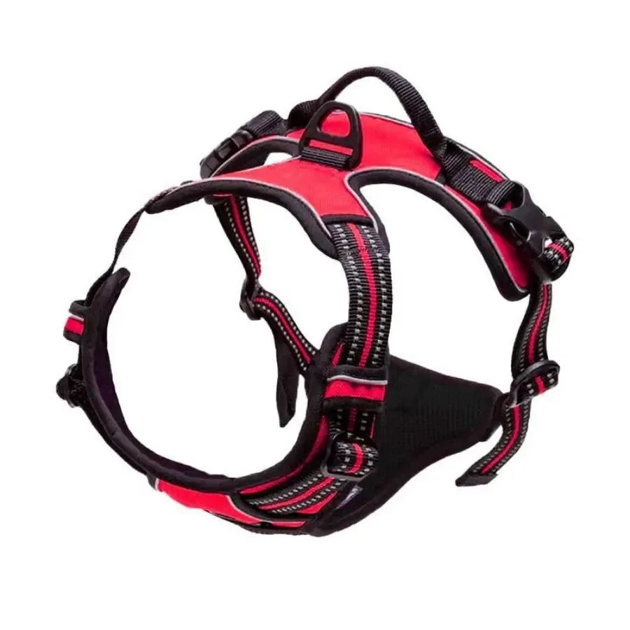 Padded Comfort Harness Set