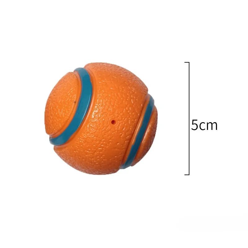 Bouncy Fetch Ball Dog Toy