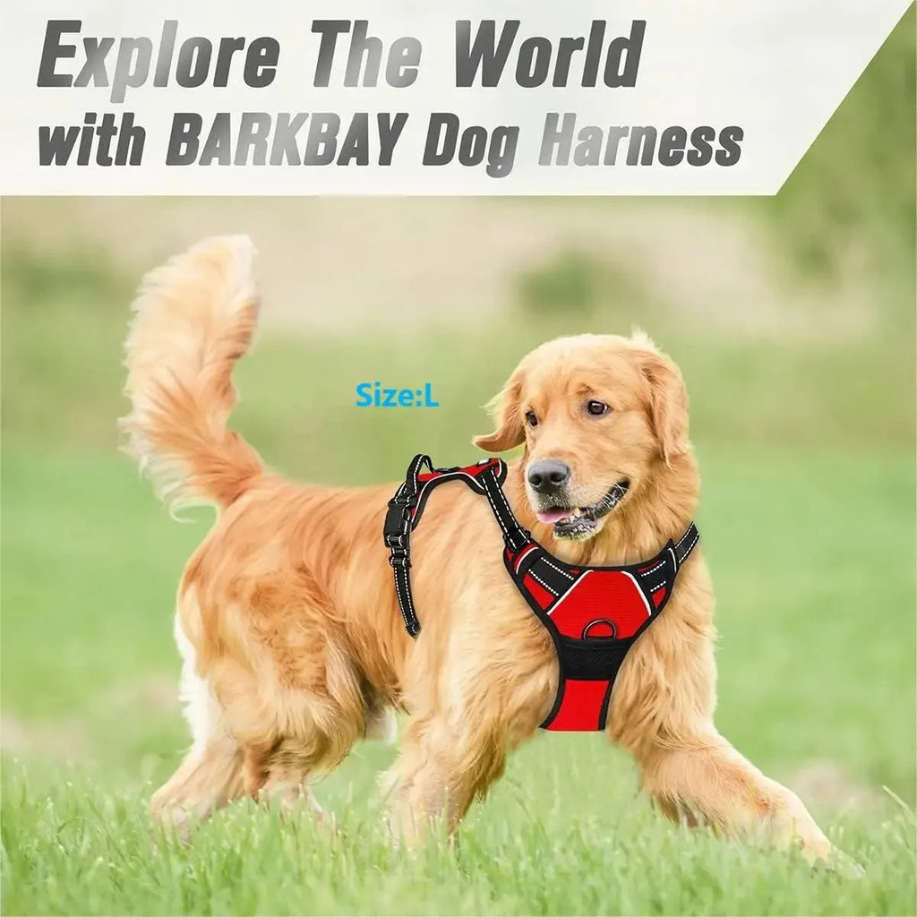 Padded Comfort Harness Set