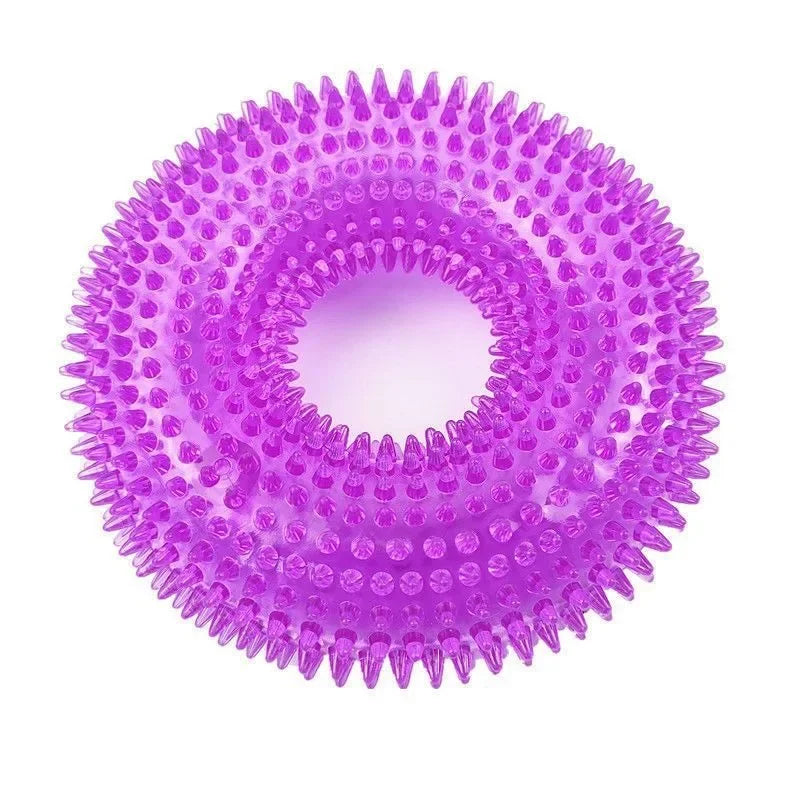 Squeaky Chew Ball Dog Toy