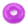 Squeaky Chew Ball Dog Toy