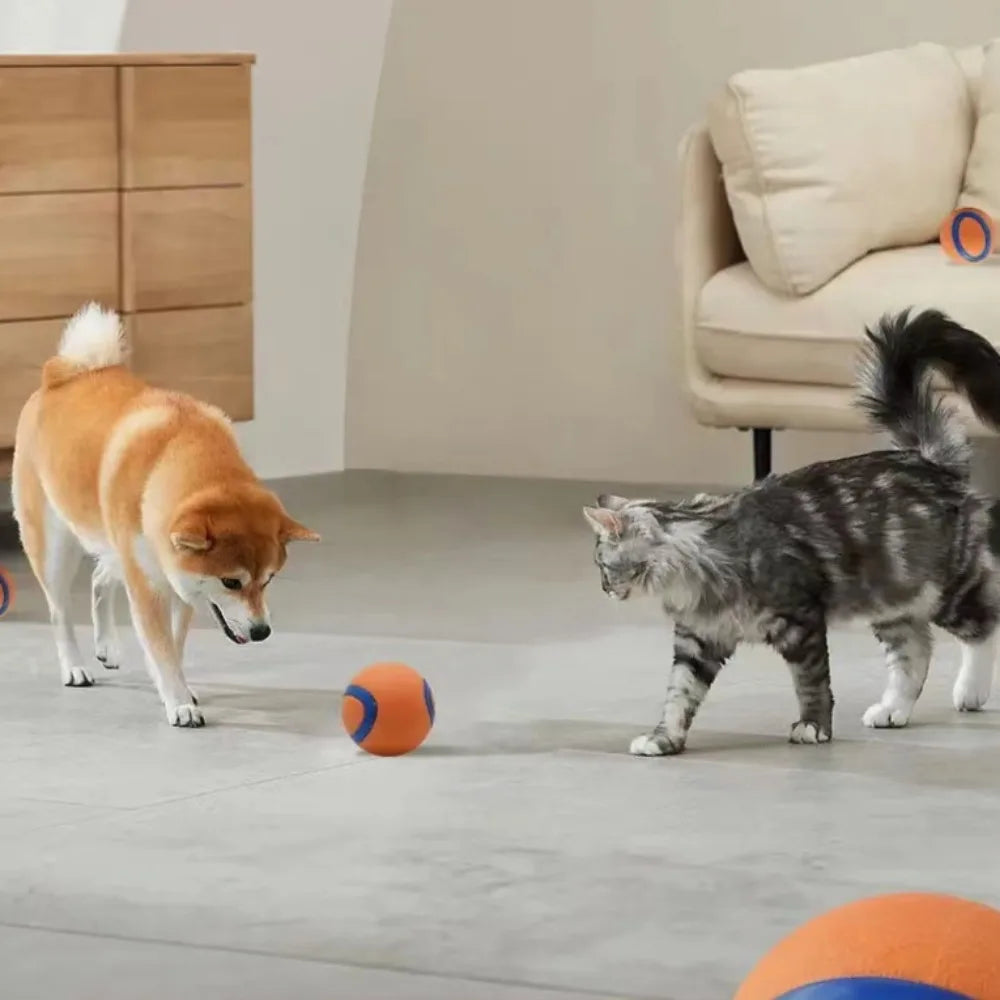 Bouncy Fetch Ball Dog Toy