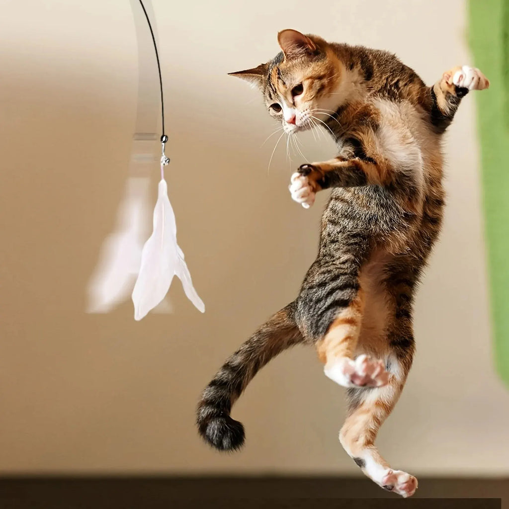 Feather Teaser Wand Cat Toy