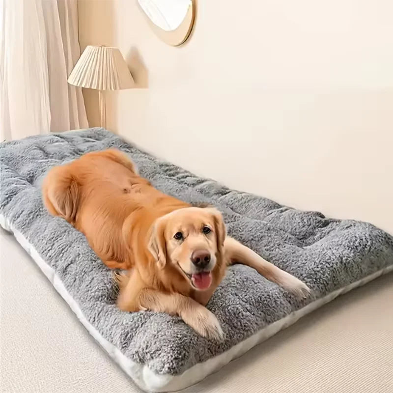 Plush Dreams Dog Bed