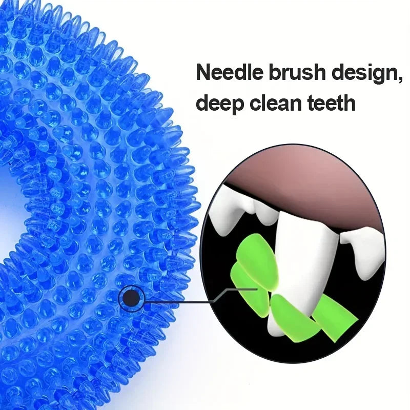 Squeaky Chew Ball Dog Toy