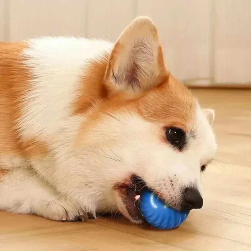 Smart Auto-Rolling Dog Ball