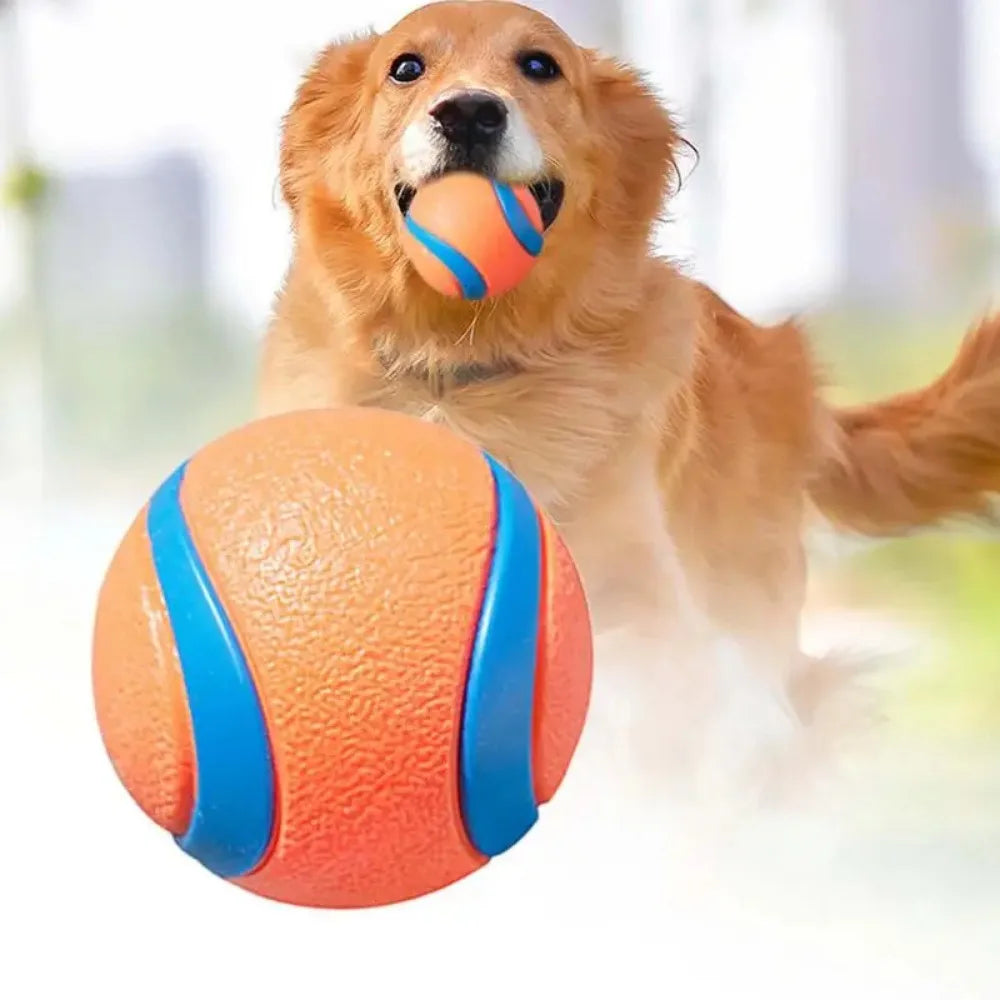 Bouncy Fetch Ball Dog Toy