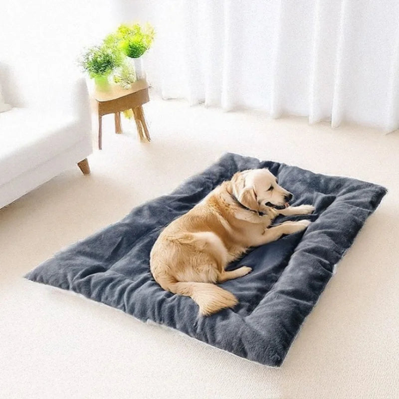 Cloud Nine XL Dog Bed