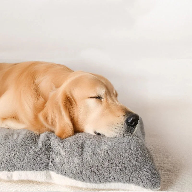 Cloud Nine XL Dog Bed