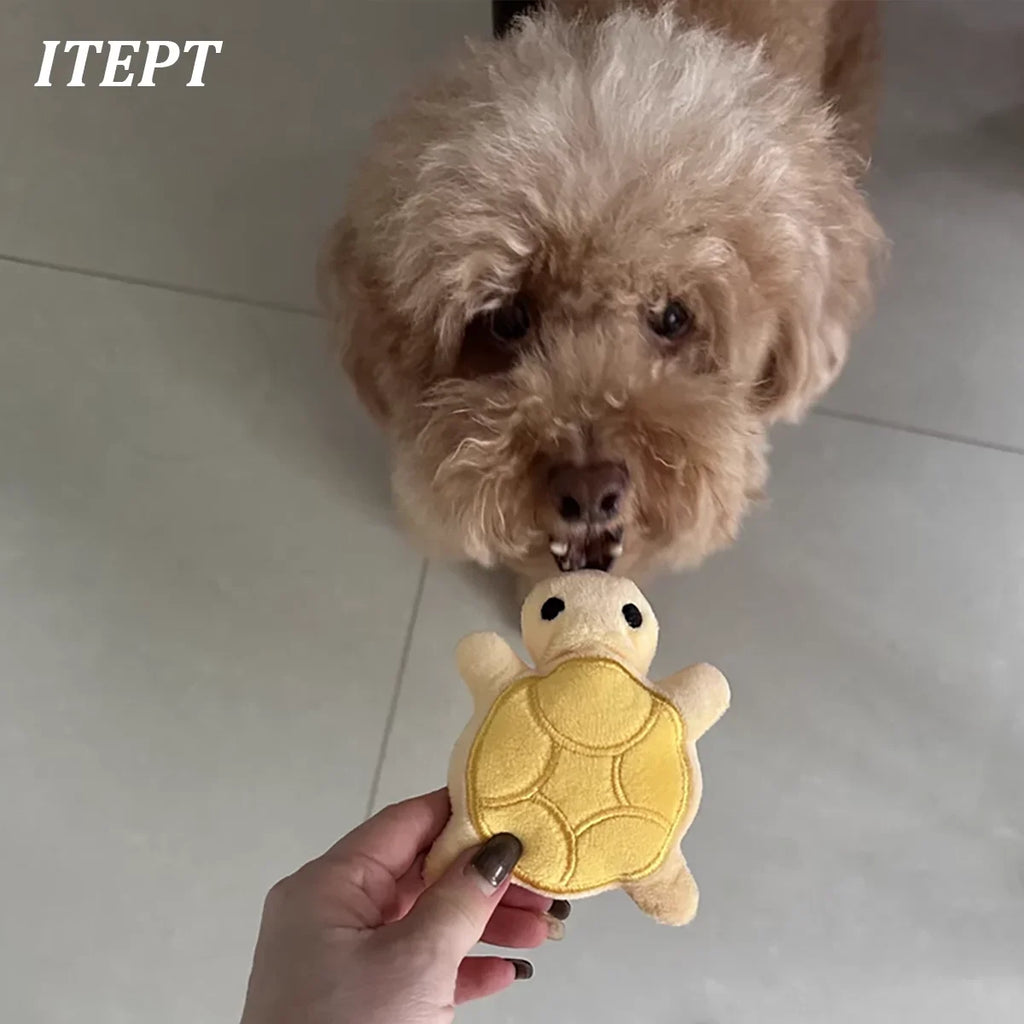 Turtle Plush Puppy Teether Toy
