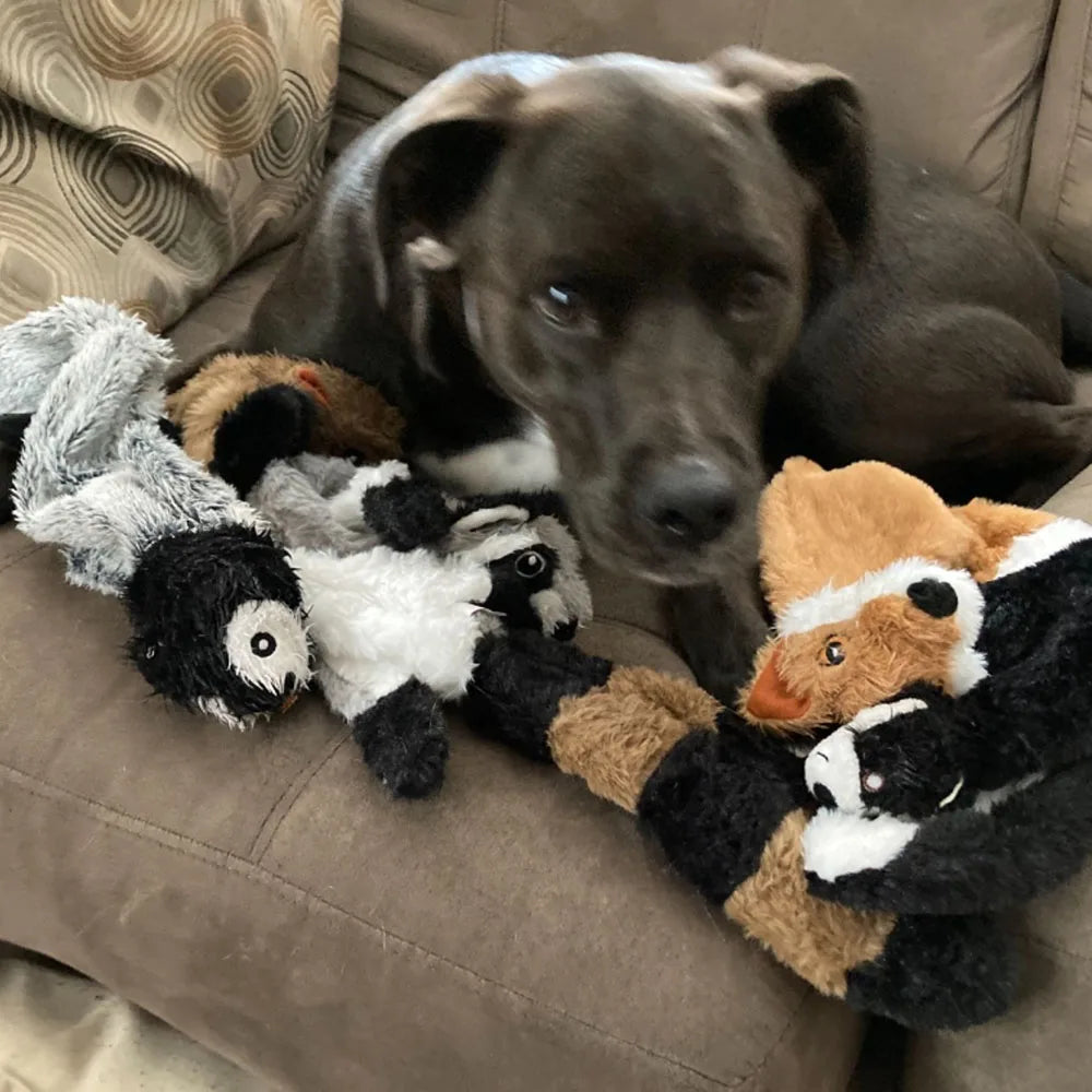 No-Stuffing Squeaky Dog Toy
