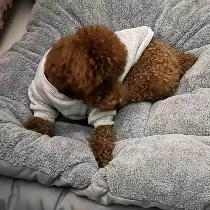 Plush Dreams Dog Bed