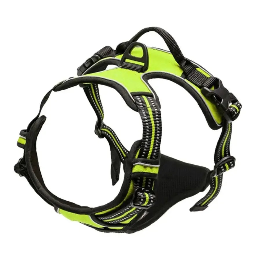 Padded Comfort Harness Set