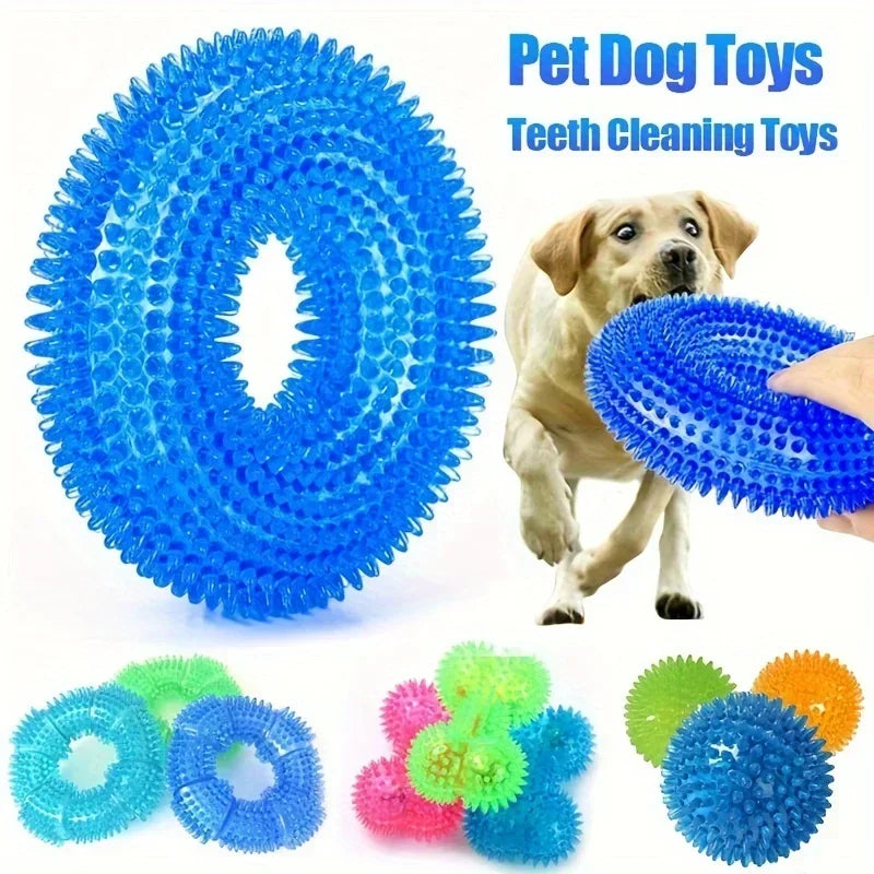 Squeaky Chew Ball Dog Toy
