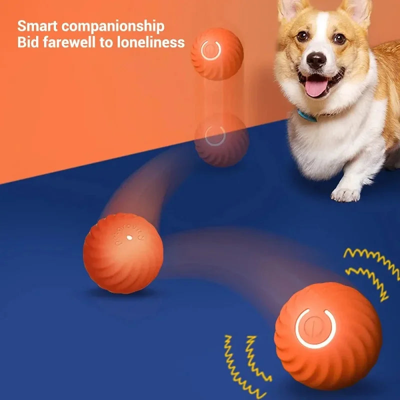 Smart Auto-Rolling Dog Ball