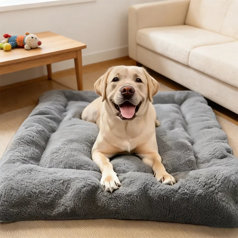 Plush Dreams Dog Bed