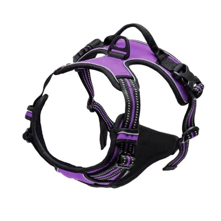 Padded Comfort Harness Set