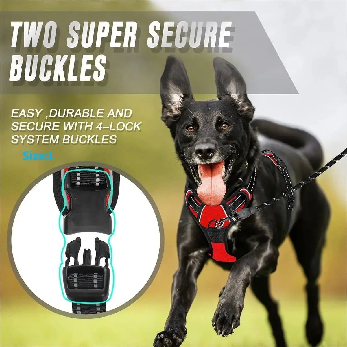 Padded Comfort Harness Set