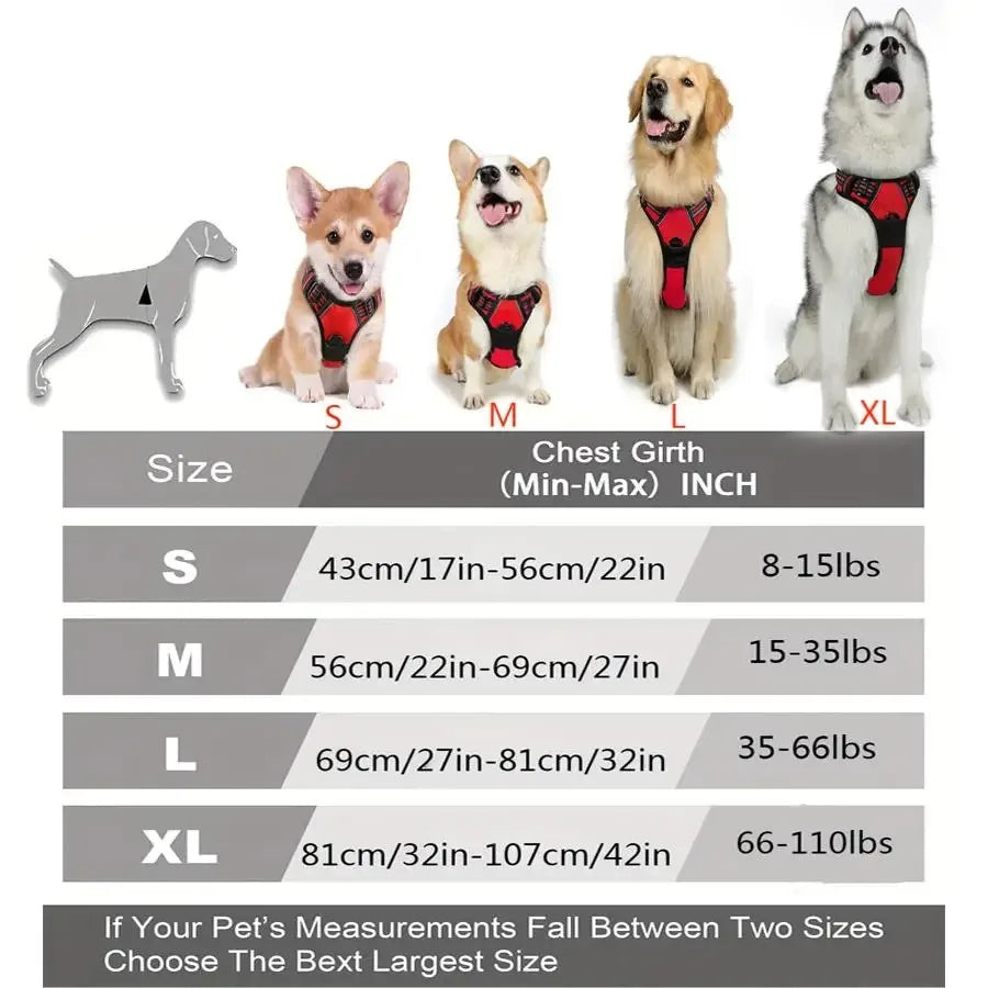 Padded Comfort Harness Set