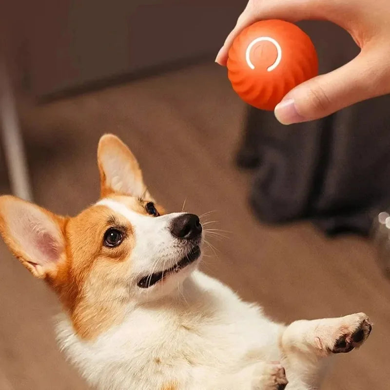 Smart Auto-Rolling Dog Ball