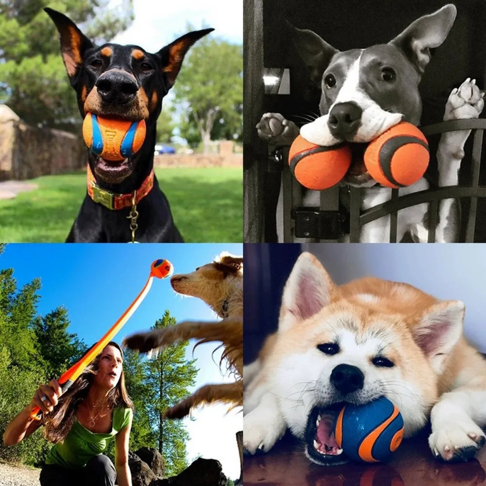 Bouncy Fetch Ball Dog Toy