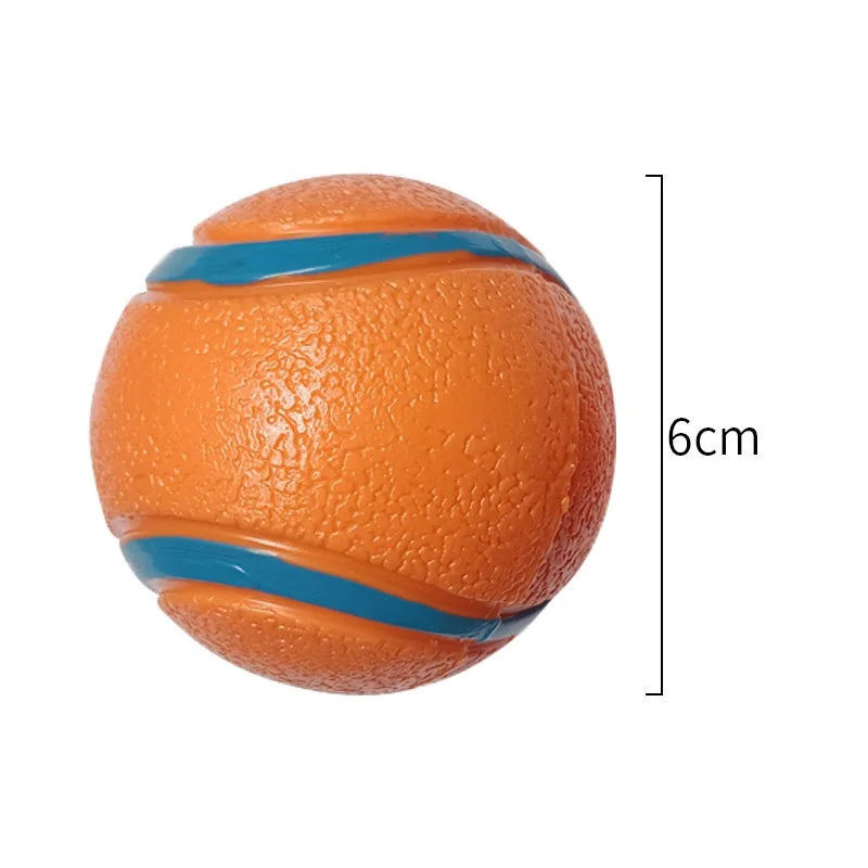 Bouncy Fetch Ball Dog Toy