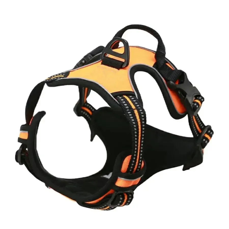 Padded Comfort Harness Set