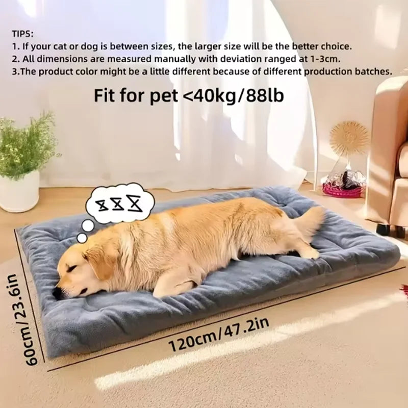 Plush Dreams Dog Bed