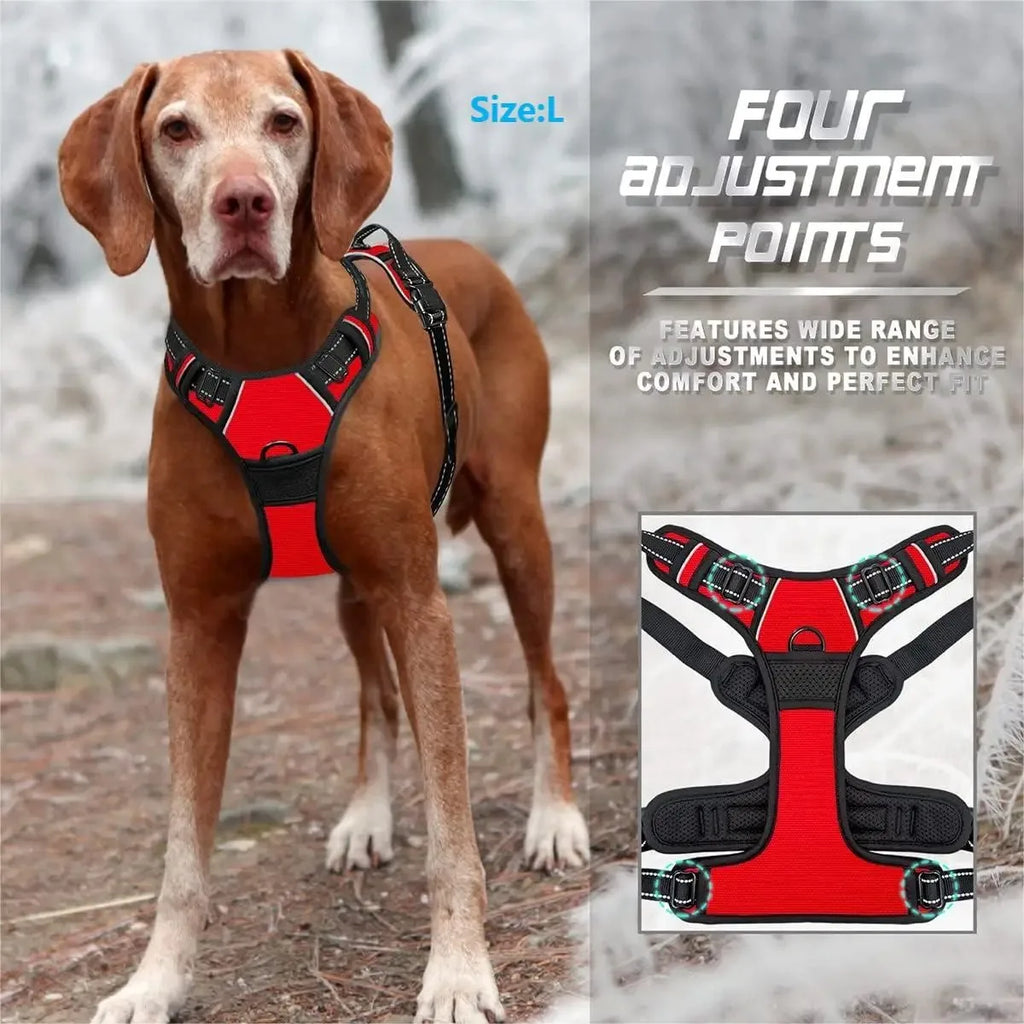 Padded Comfort Harness Set