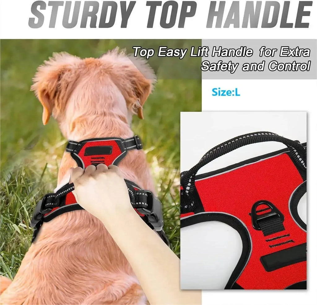 Padded Comfort Harness Set