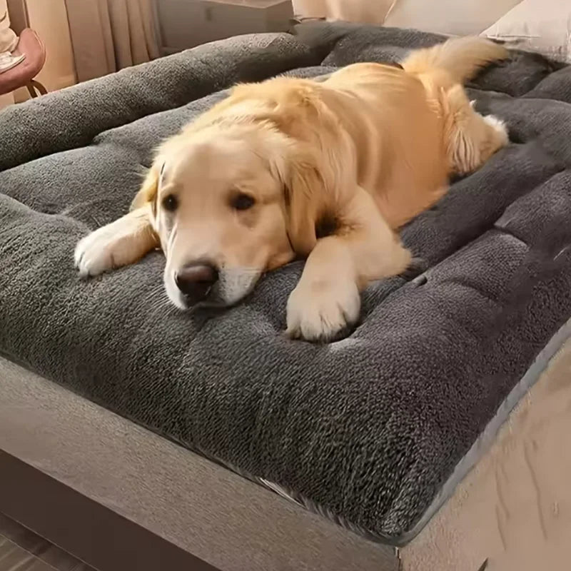 Reversible Comfort Dog Bed