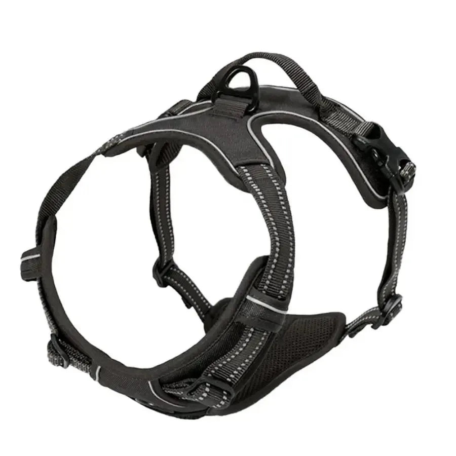 Padded Comfort Harness Set
